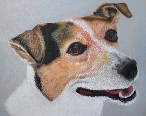 Carol W. Pastel pencils, soft pastels & charcoal.